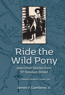 “Ride the Wild Pony” book cover image