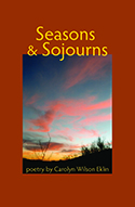 "Seasons & Sojourns" book cover image