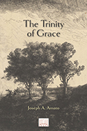 "The Trinity of Grace” book cover image